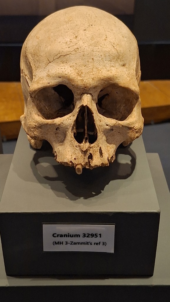 20250915 174712 (Copy)